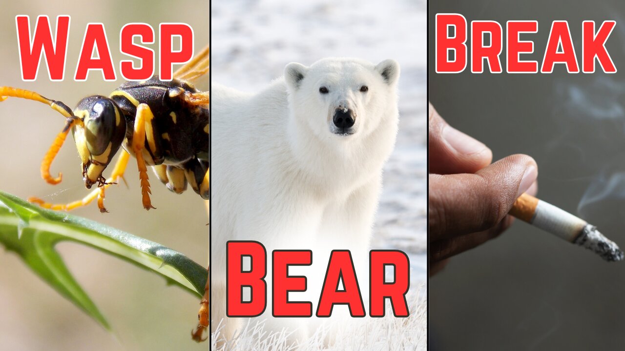 Wasps Destroy Fruit Flies, Polar Bears Do Laundry & Smokers Get An Entire Month Off