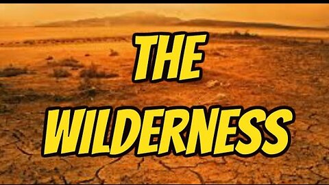 The Wilderness - PART TWO