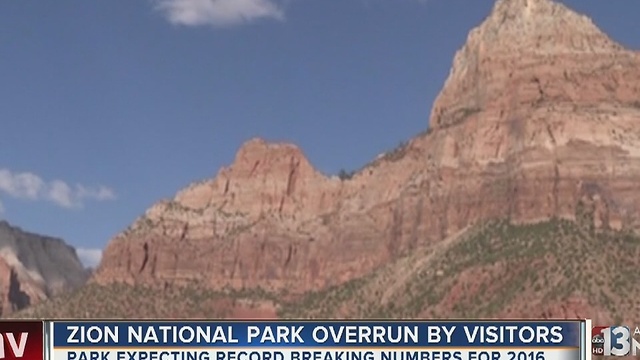 Zion National Park is packed, even during winter