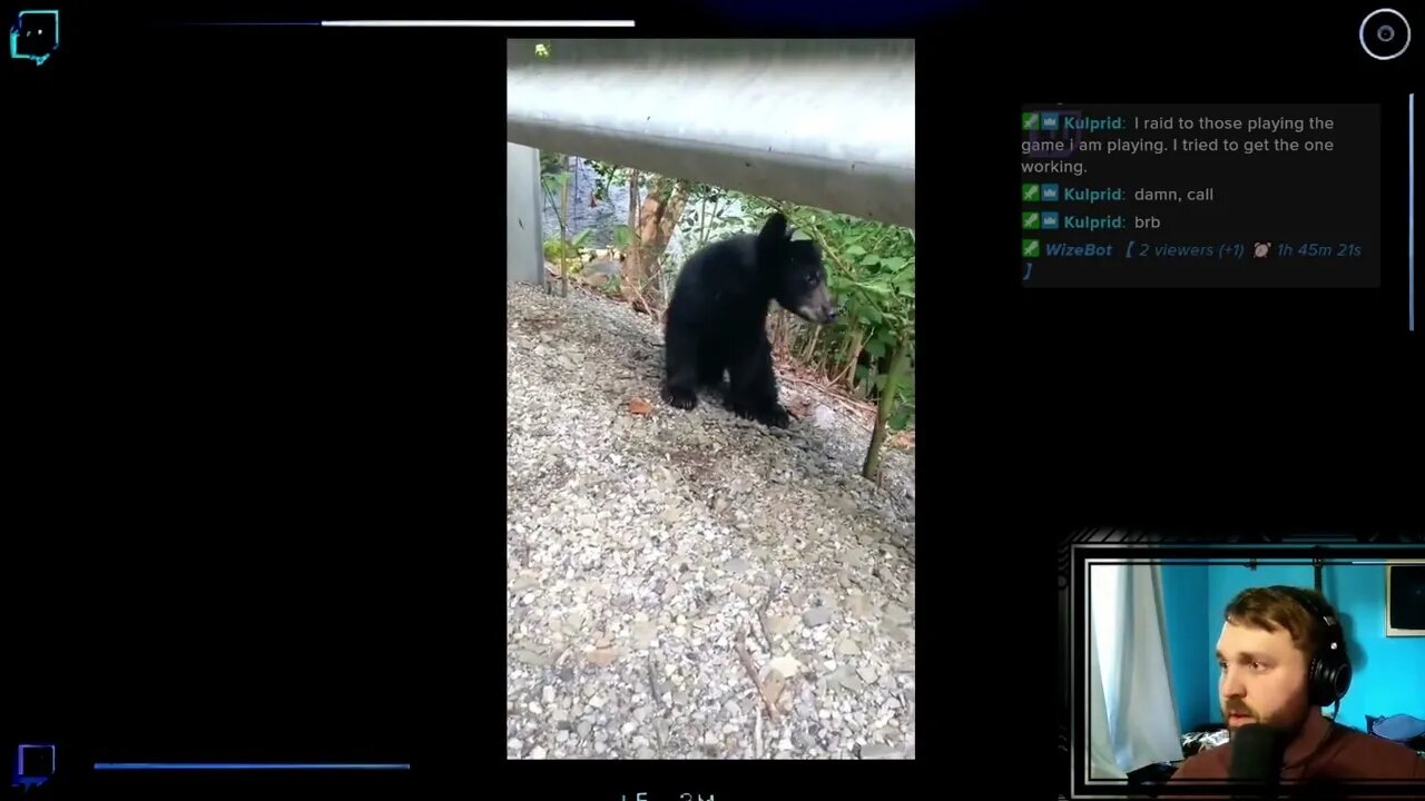 Woman SAVES a BEAR CUB, very scary