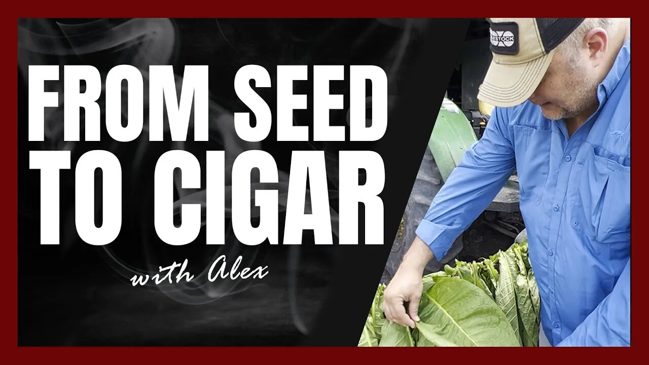 From Seed to Cigar with Alex Svenson