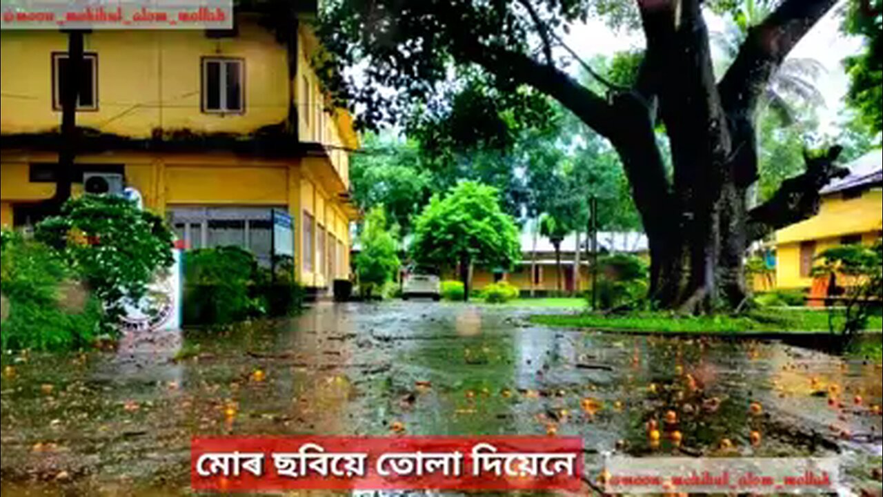 NABAJYOTI COLLEGE, KALGACHIA, ASSAM, INDIA