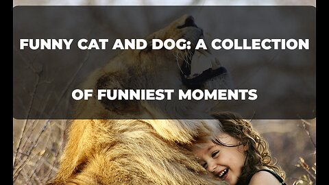 Funny Cat and Dog: A Collection of Funniest Moments