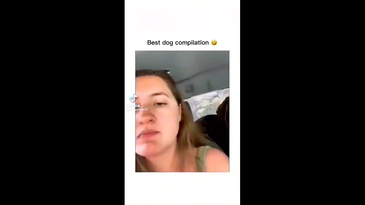 Fun Clips of Animals 💗😻