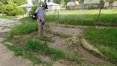 I RANDOMLY Knocked on this Door and Gave this Lawn a FREE Makeover