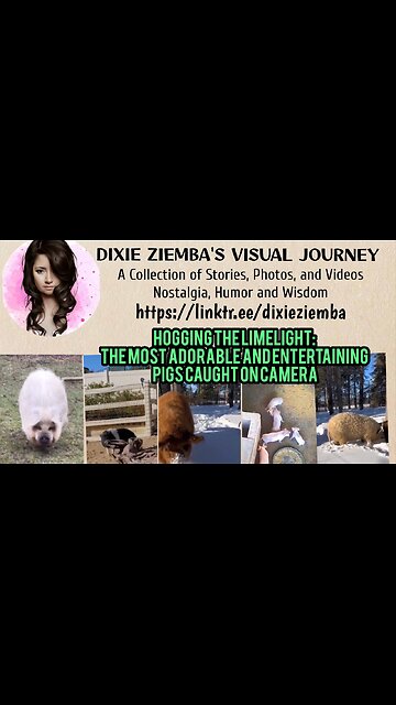 Hogging the Limelight: The Most Adorable and Entertaining Pigs Caught on Camera