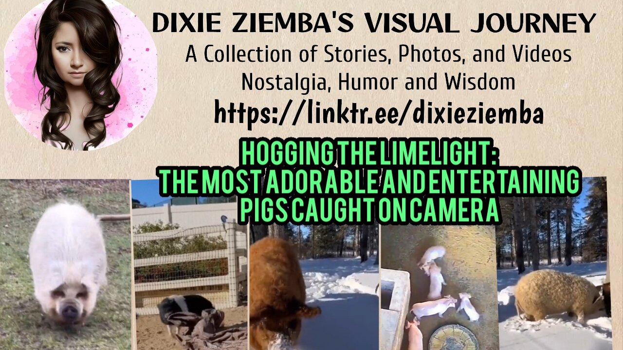 Hogging the Limelight: The Most Adorable and Entertaining Pigs Caught on Camera