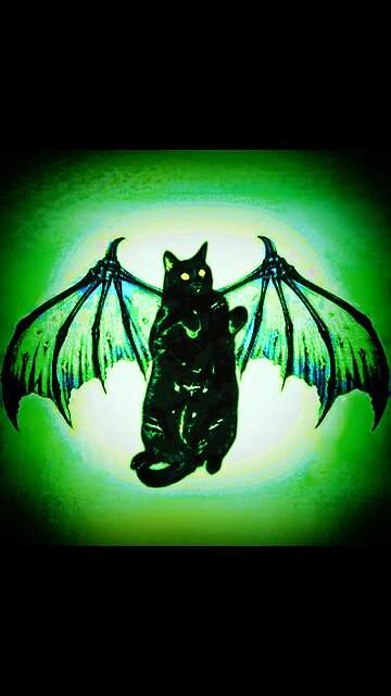 My. Shadow my mcCool wee cat