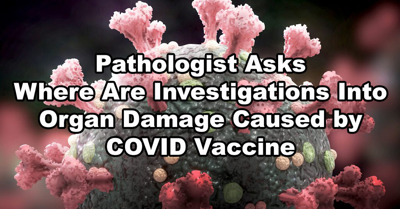 Pathologist Asks: Where Are Investigations Into Organ Damage Caused by COVID Vaccine?