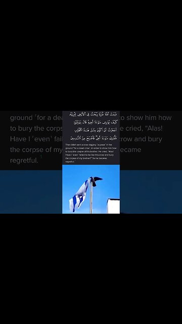 This Crow Is Sent From Allah ☝🏾⚡️