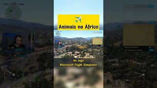 Microsoft Flight Simulator pelo Mundo #01