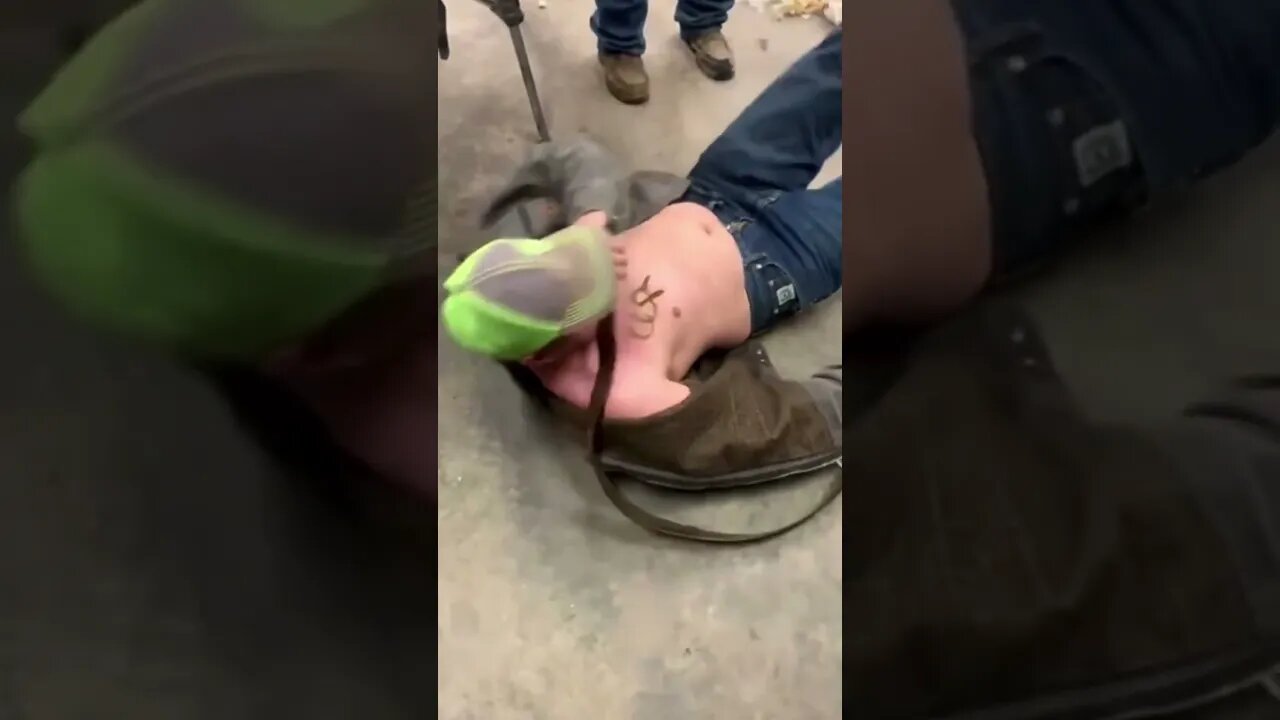 Straight out of Yellowstone😳#shorts #crazyvideo #branding #yellowstone #cowboy