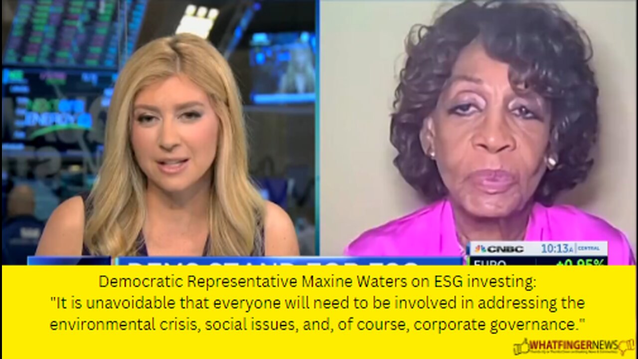 Democratic Representative Maxine Waters on ESG investing: