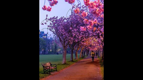 News Shorts: Hidden Tunnel Gone Dollar