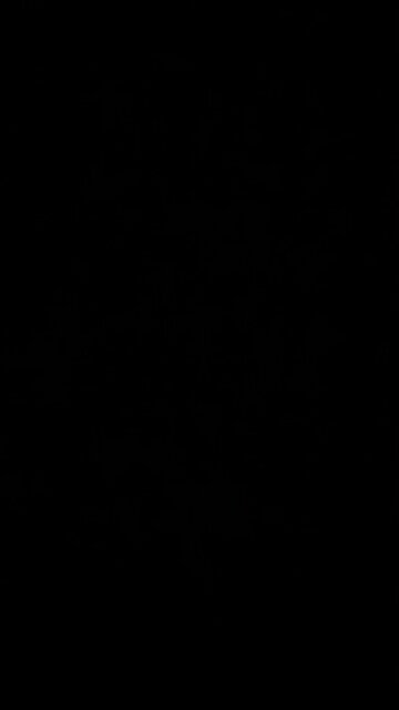 Encyclopedias of facts