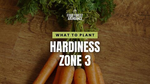 What to plant in zone 3