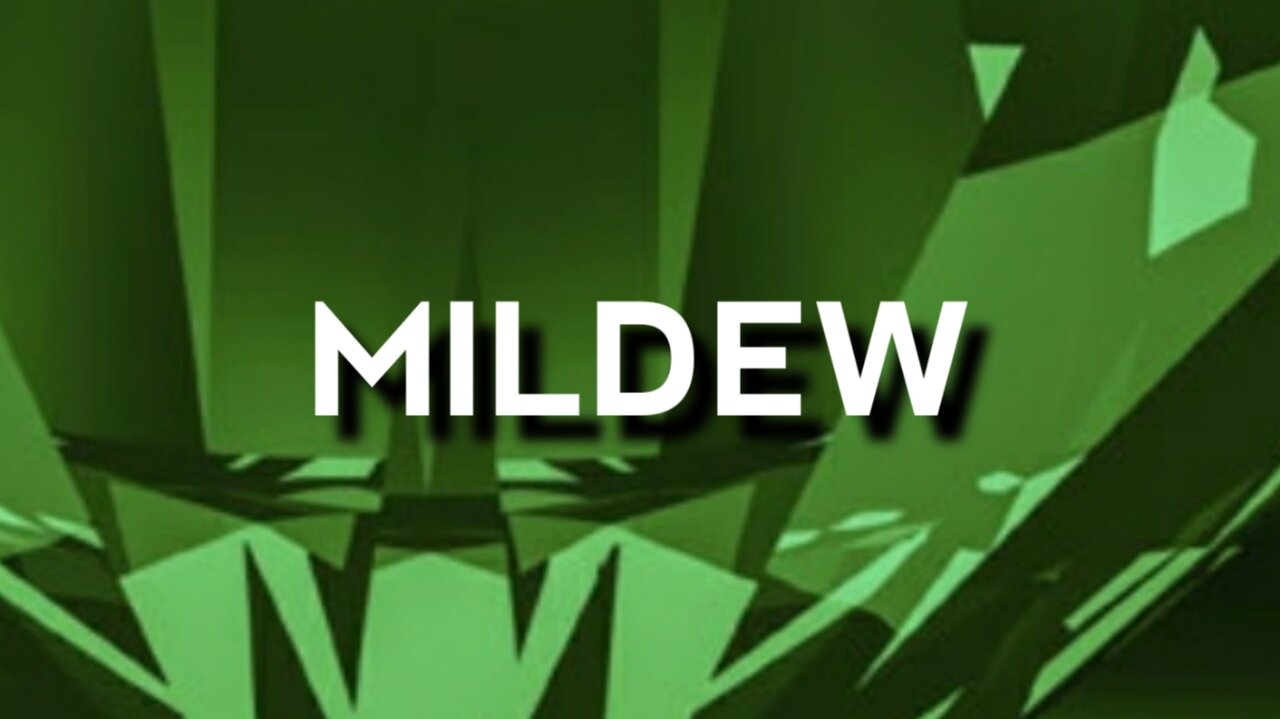 Mildew