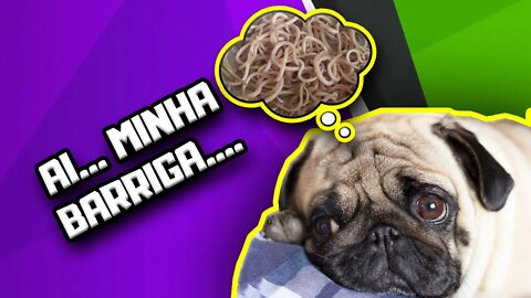 Alimentação Natural para Cães causa Vermes? | Dr. Edgard Gomes | Alimentação natural para Cães