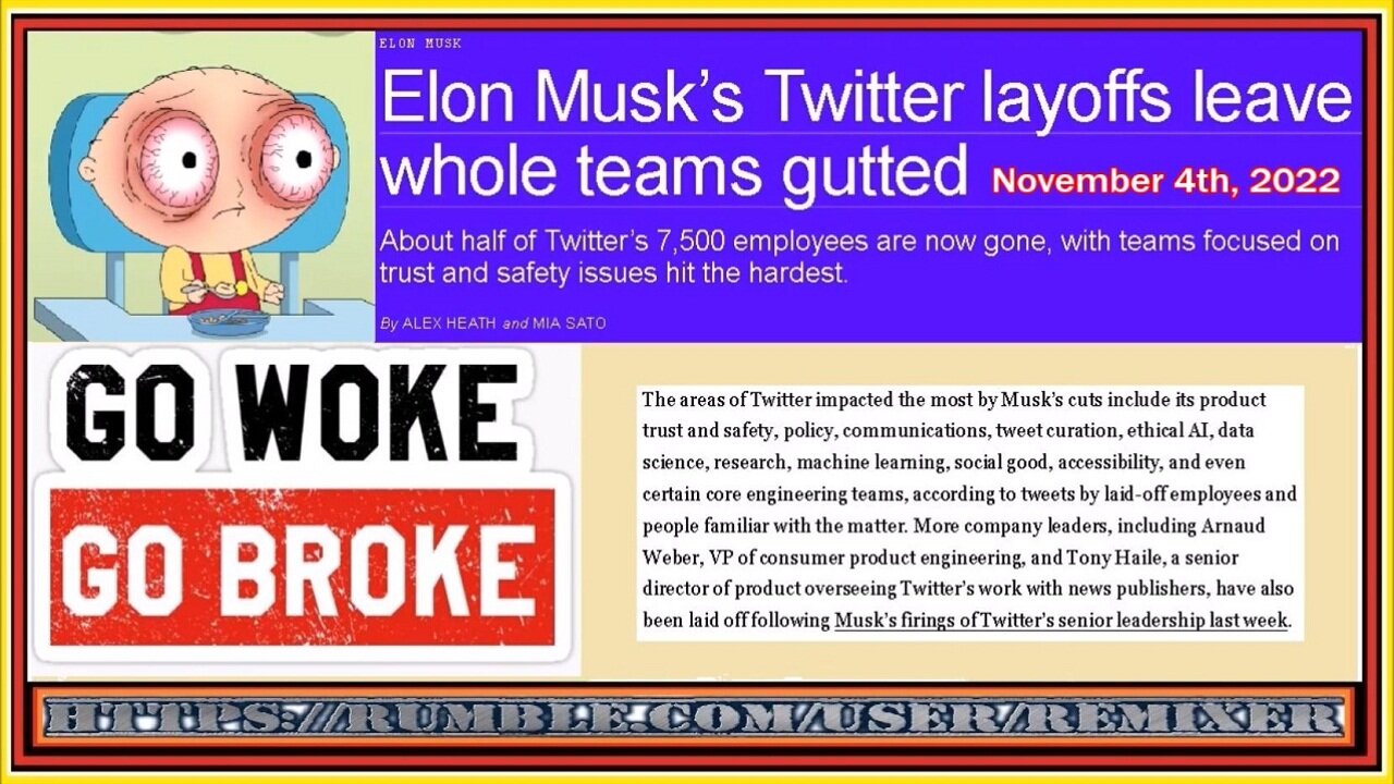 Elon Musk Go Woke Go Broke