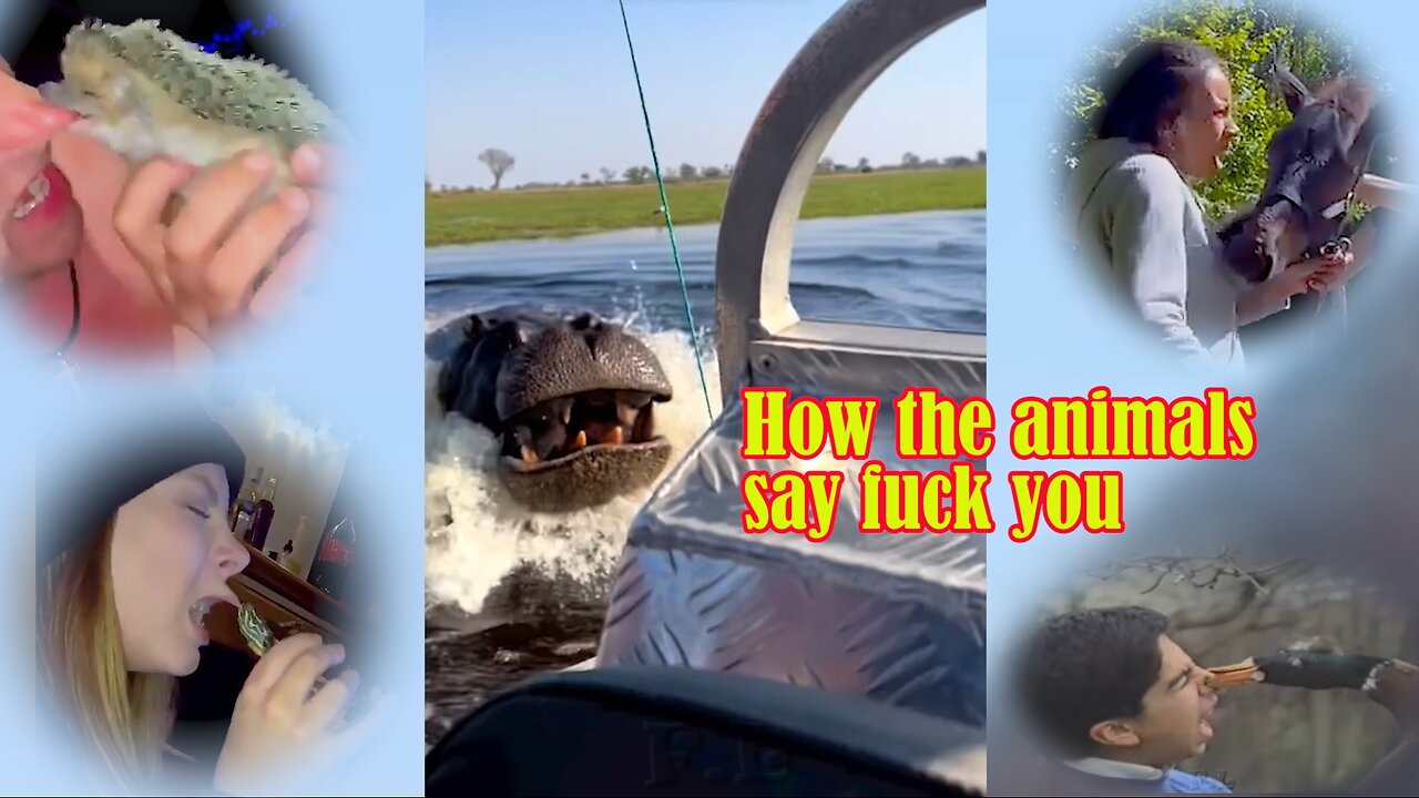 How the animals say fuck you