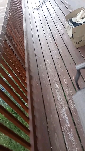 giving dad his birthday present 🎁