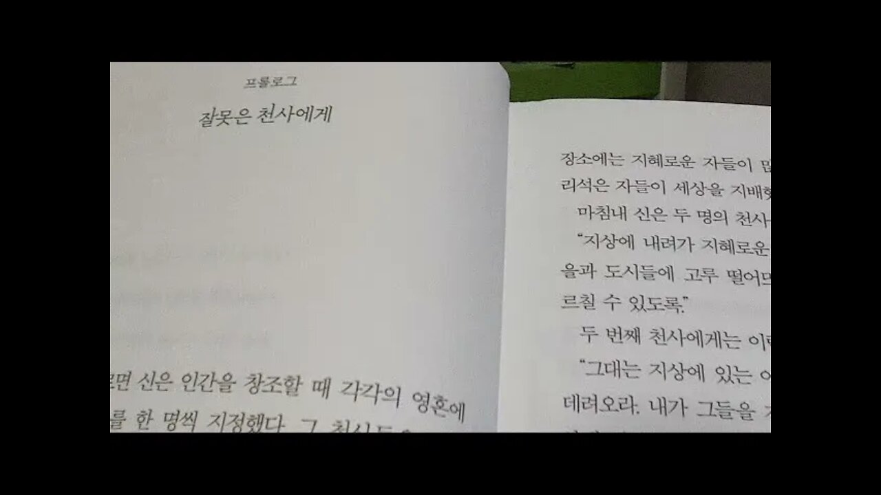 인생우화, 류시화, 동화, 헤움, 랍비,영혼, 잘못은 천사에게, 프롤로그, 자루 임무수행, 지혜로운자, 이야기, 임무, 자루, 바보들의 마을, 시련, 고통을 웃음으로, 영웅역경