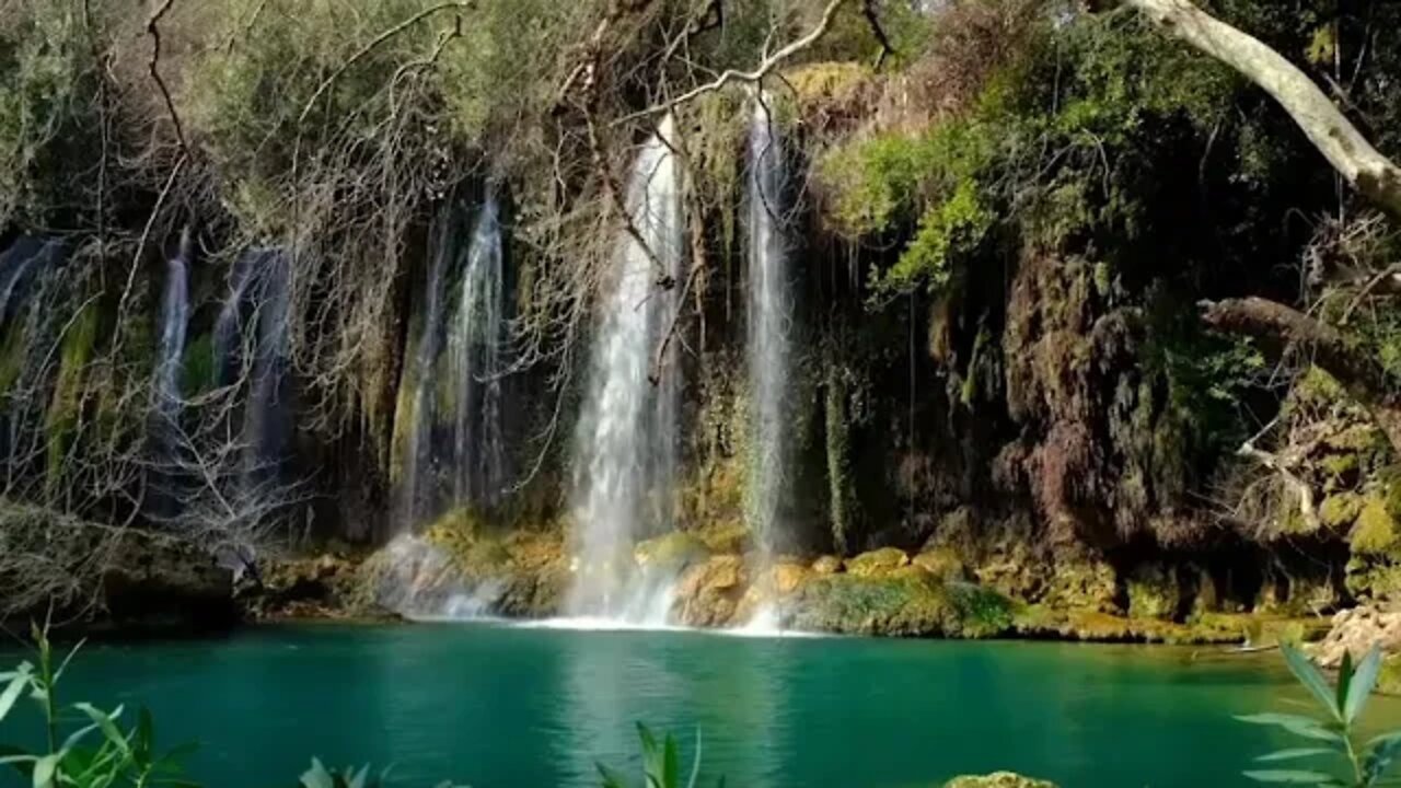 Relaxation Music: Relaxation, Meditation, Sleep.