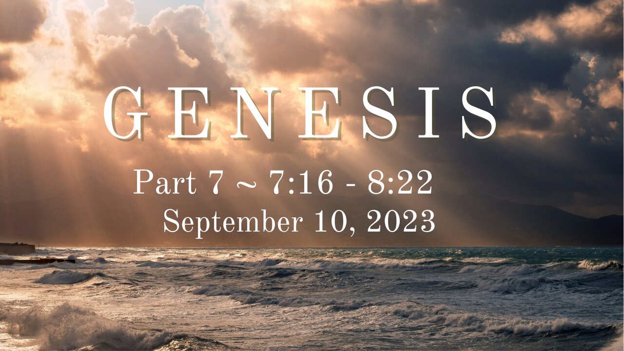 Genesis, Part 7