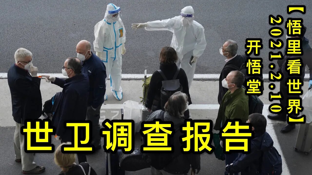 KWT1050世卫调查报告20210210-2【悟里看世界】
