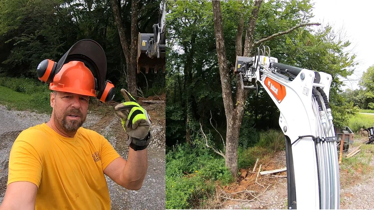 Sunday chores on the farm! Taking down big oak tree hazard the easy way, Bobcat e42 mini ex!