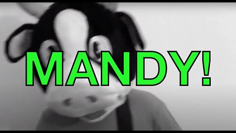 Happy Birthday MANDY! - COW Happy Birthday Song