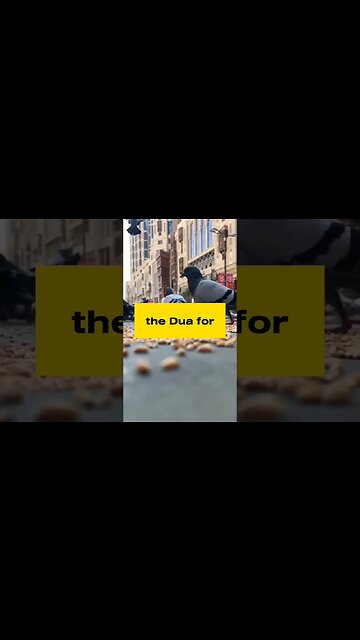 Be Careful Of Jealousy |Islamic Video | #shorts #islam