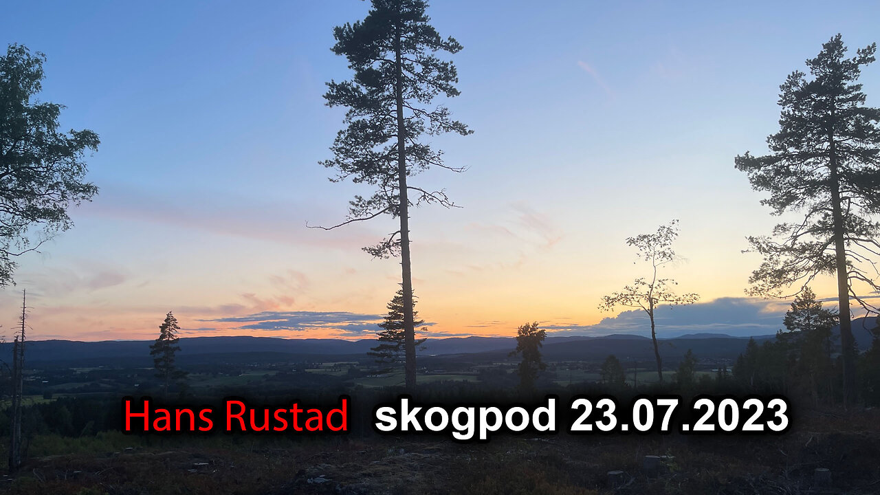 Skogpod 23. juli 2023