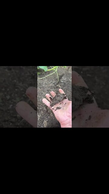 Free Moisture Meter #gardening #gardeningtips #giantpumpkin