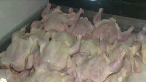 Tower Chicken Farm in Milwaukee draws in out-of-state customers for holiday birds