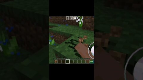 Minecraft - #shorts