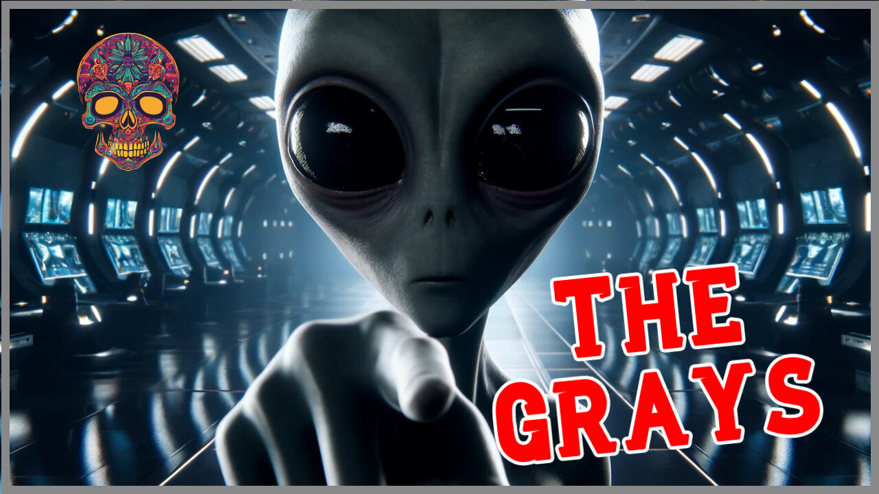 Gray Aliens : Zeta Reticuli's Explorers