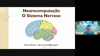 05 - Neurocomputação: O Sistema Nervoso - Computação Inspirada pela Natureza (versão Meet)