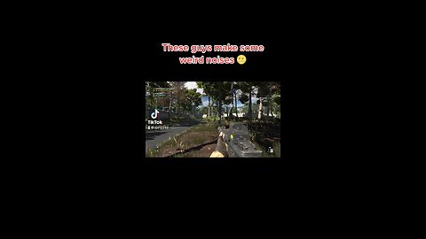 These guys make some weird noises 🌝