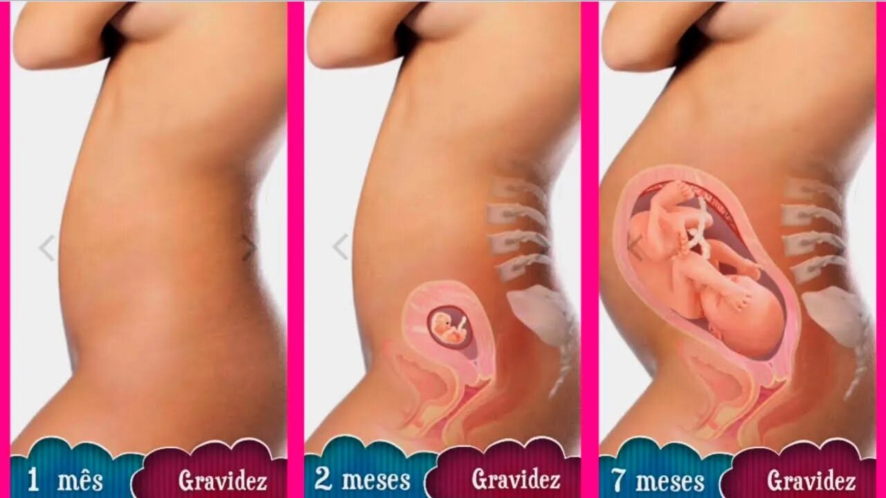 Tamanho da barriga de gravidez mês a mês