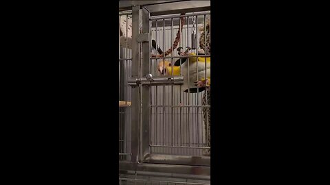Mission: Impossible
