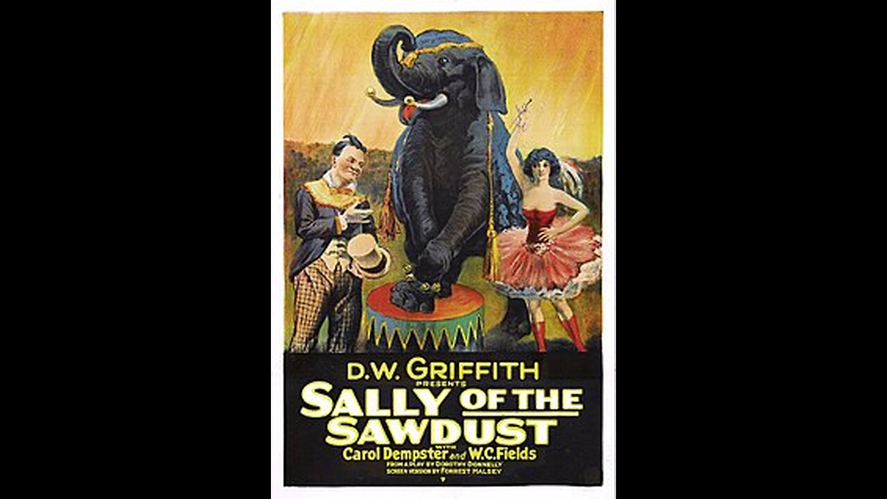 Movie From the Past - Sally of the Sawdust - 1925