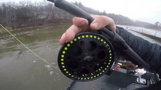 I Hook My First Sturgeon While Centerpin Fishing For Steelhead / Michigan Fishing Videos / Kingpin