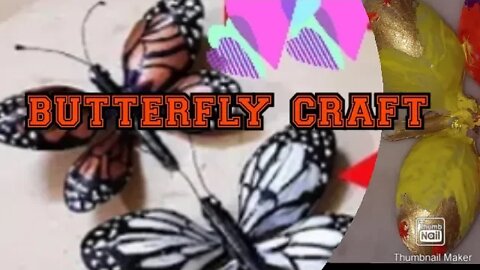 Butterfly craft