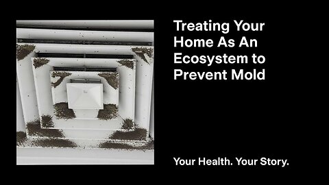 Treating Your Home As An Ecosystem to Prevent Mold