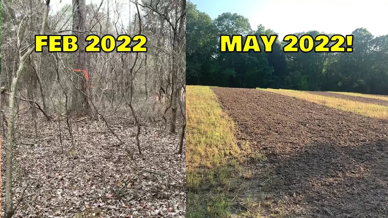 Spring food plots from Southern Illinois land! Just a man and his dog..