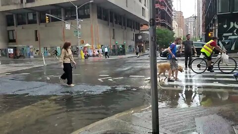 NYC street after five minutes of rain