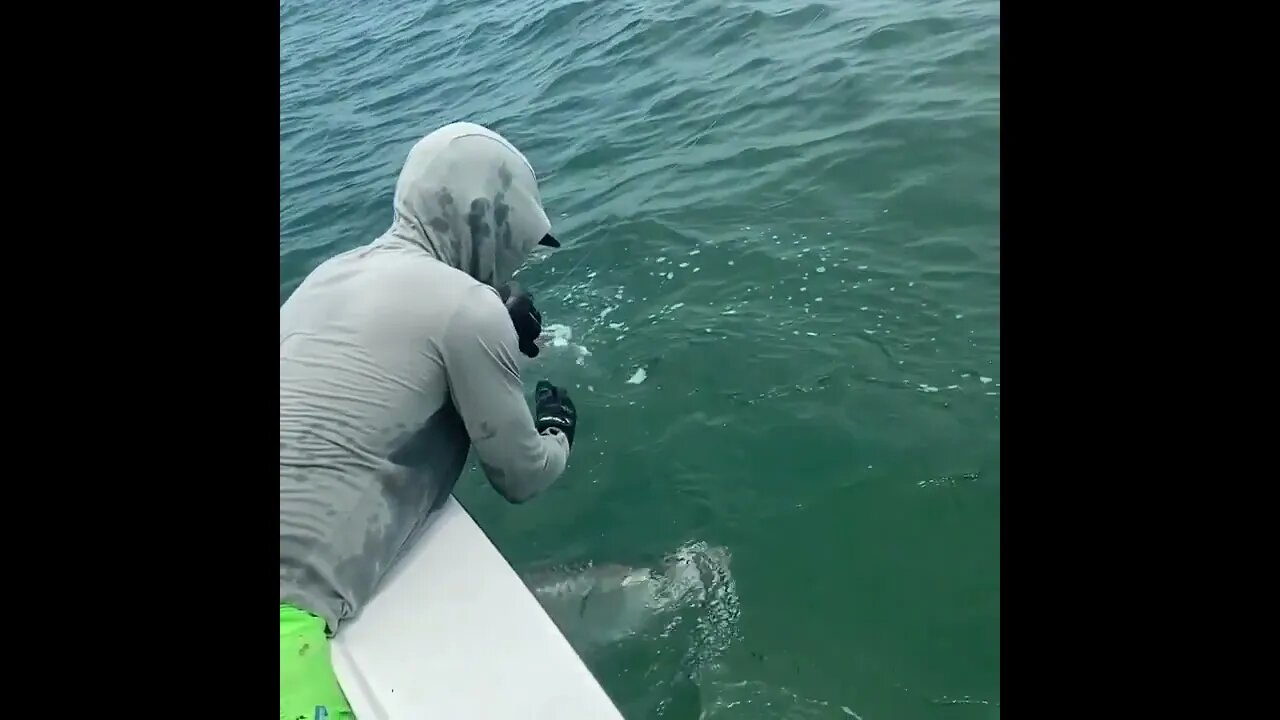 Catching tarpon in florida near island