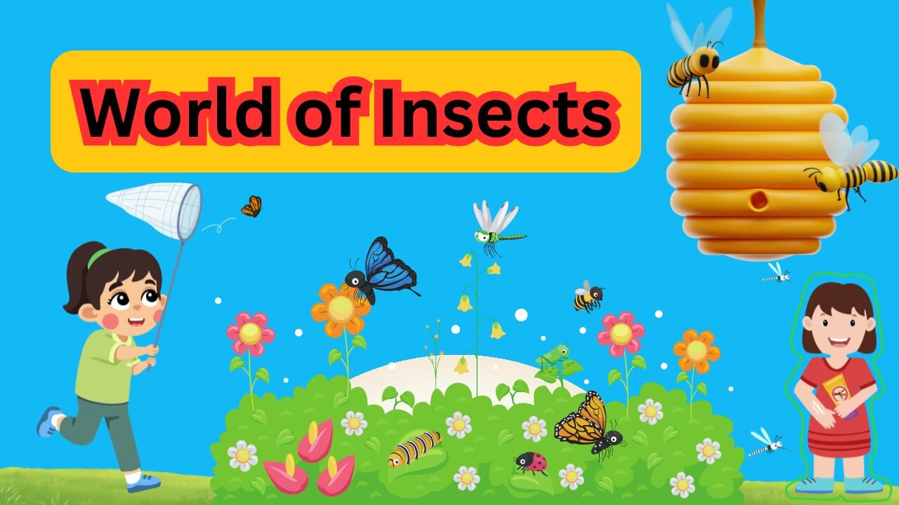 Insects Names Learning | Educational Video for Kids and Toddlers | Bright Spark Station