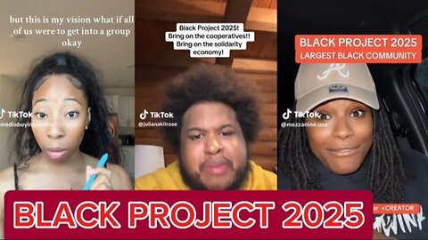 What Is Black PROJECT 2025